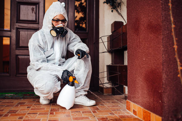 Attic and Crawl Space Rodent Treatment in Ouray
