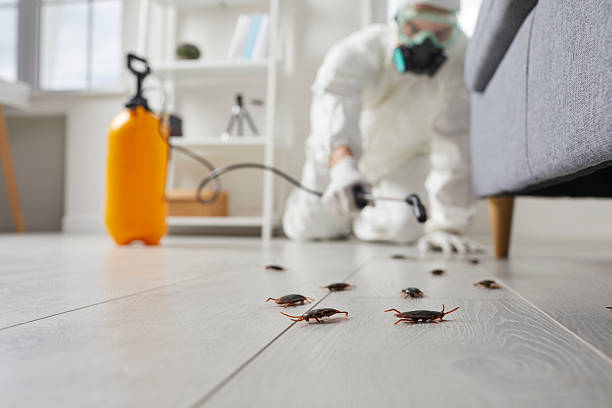 Commercial Rodent Management in Ouray